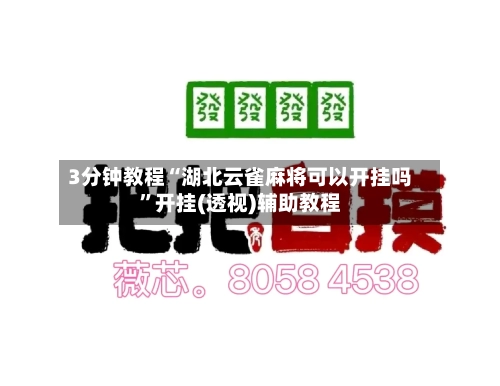 3分钟教程“湖北云雀麻将可以开挂吗	”开挂(透视)辅助教程-第2张图片