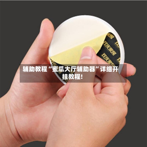 辅助教程“蜜瓜大厅辅助器”详细开挂教程!-第1张图片
