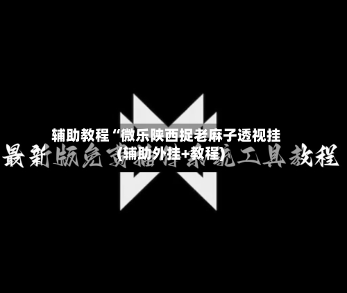 辅助教程“微乐陕西捉老麻子透视挂(辅助外挂+教程)