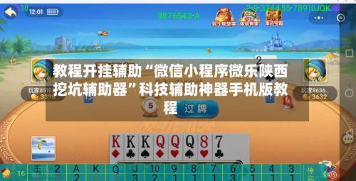 教程开挂辅助“微信小程序微乐陕西挖坑辅助器”科技辅助神器手机版教程-第1张图片