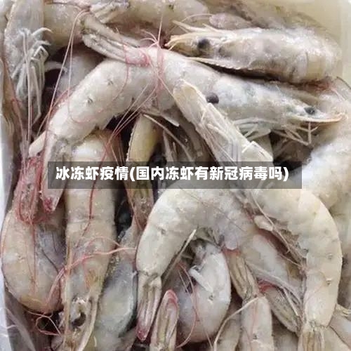 冰冻虾疫情(国内冻虾有新冠病毒吗)-第1张图片