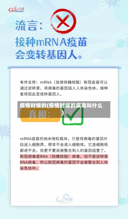 疫情时候的(疫情时候的病毒叫什么)-第1张图片