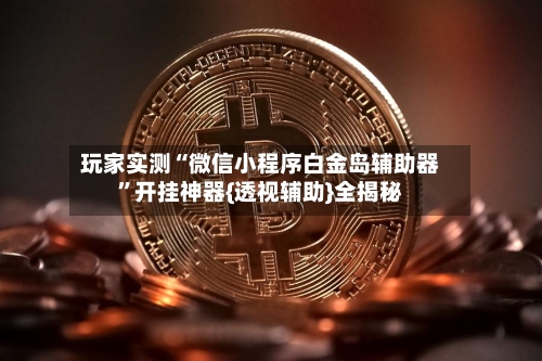 玩家实测“微信小程序白金岛辅助器”开挂神器{透视辅助}全揭秘-第1张图片