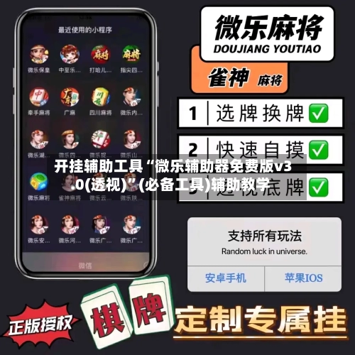开挂辅助工具“微乐辅助器免费版v3.0(透视)”(必备工具)辅助教学-第3张图片