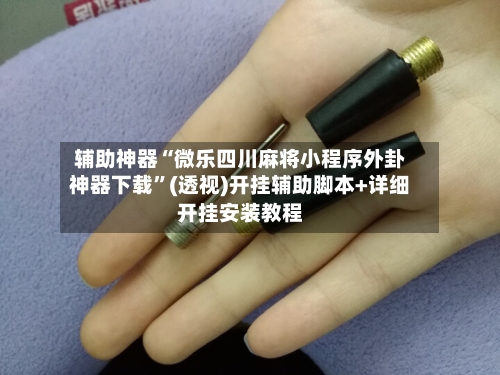 辅助神器“微乐四川麻将小程序外卦神器下载”(透视)开挂辅助脚本+详细开挂安装教程