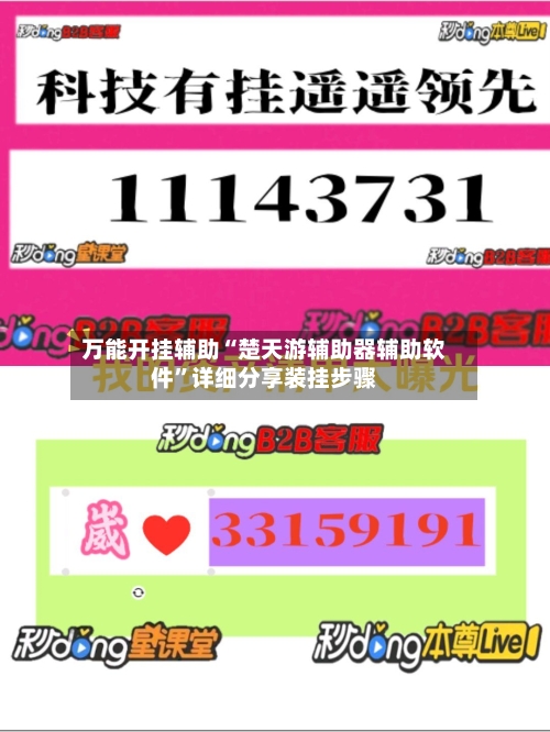万能开挂辅助“楚天游辅助器辅助软件”详细分享装挂步骤-第3张图片