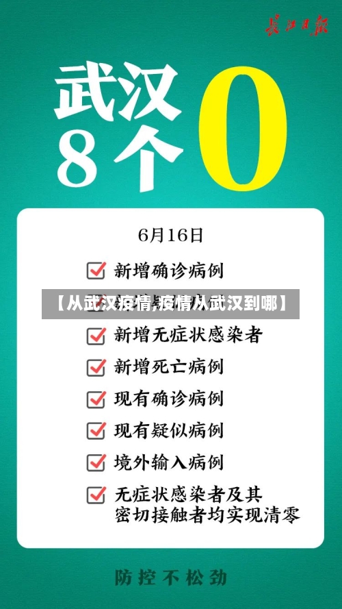 【从武汉疫情,疫情从武汉到哪】-第3张图片