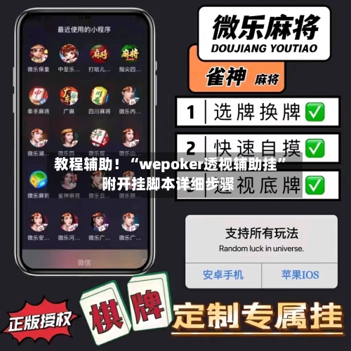 教程辅助！“wepoker透视辅助挂”附开挂脚本详细步骤-第1张图片