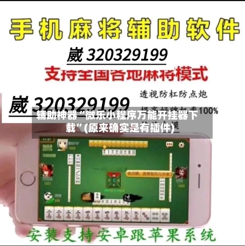 辅助神器“微乐小程序万能开挂器下载”(原来确实是有插件)-第2张图片