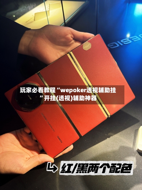 玩家必看教程“wepoker透视辅助挂	”开挂(透视)辅助神器-第2张图片