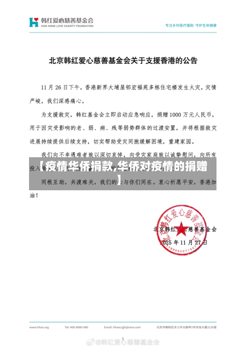 【疫情华侨捐款,华侨对疫情的捐赠】-第2张图片