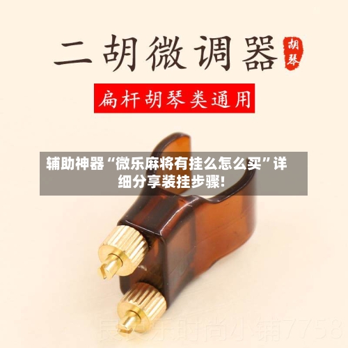 辅助神器“微乐麻将有挂么怎么买”详细分享装挂步骤!