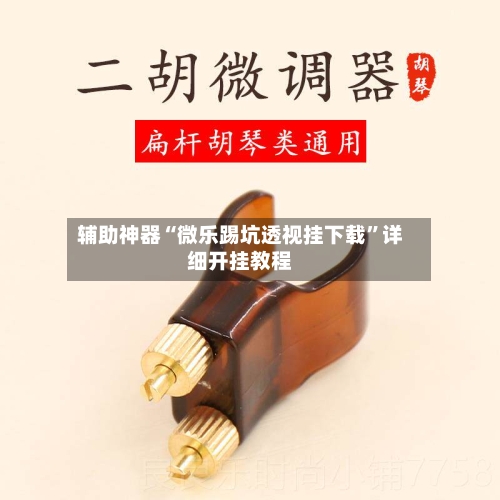 辅助神器“微乐踢坑透视挂下载”详细开挂教程-第2张图片