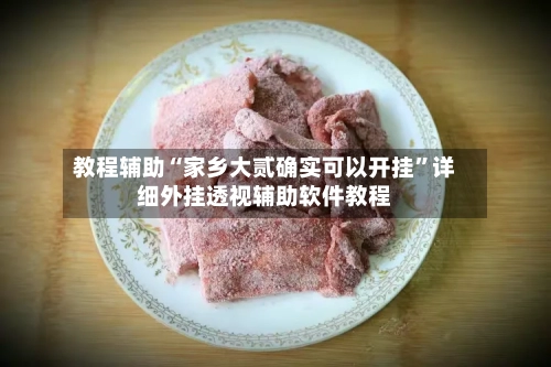 教程辅助“家乡大贰确实可以开挂	”详细外挂透视辅助软件教程-第2张图片