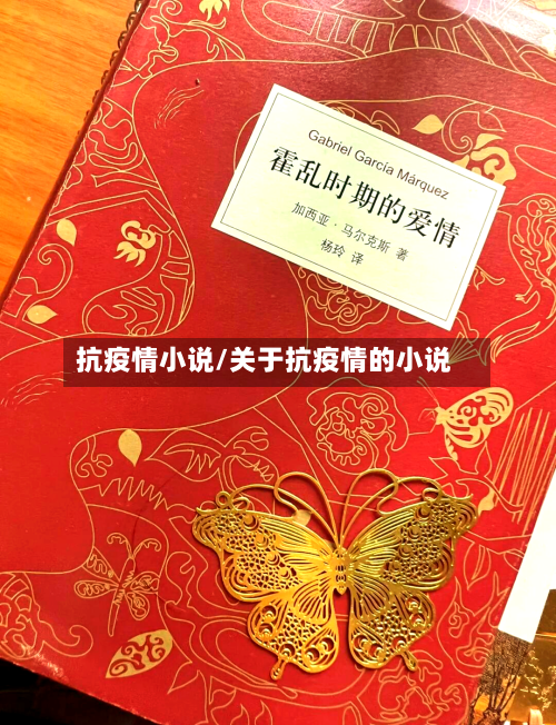 抗疫情小说/关于抗疫情的小说