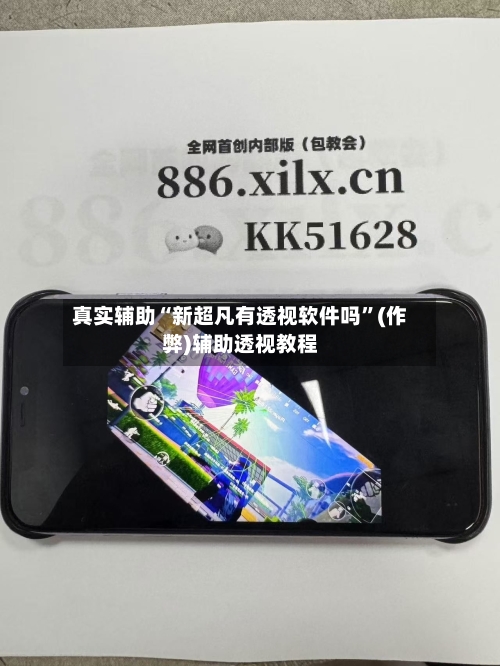 真实辅助“新超凡有透视软件吗”(作弊)辅助透视教程-第1张图片