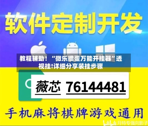 教程辅助！“微乐掼蛋万能开挂器	”透视挂!详细分享装挂步骤-第3张图片