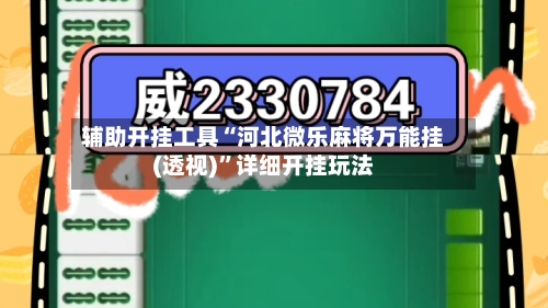 辅助开挂工具“河北微乐麻将万能挂(透视)”详细开挂玩法
