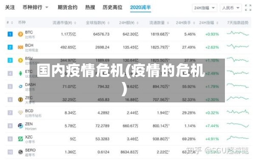 国内疫情危机(疫情的危机)