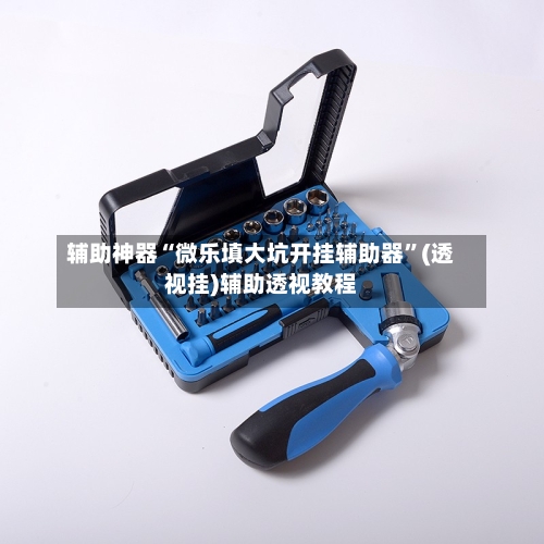 辅助神器“微乐填大坑开挂辅助器”(透视挂)辅助透视教程-第1张图片