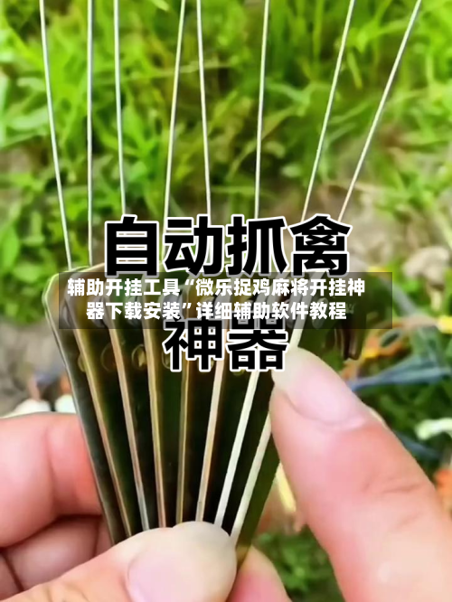 辅助开挂工具“微乐捉鸡麻将开挂神器下载安装”详细辅助软件教程-第1张图片