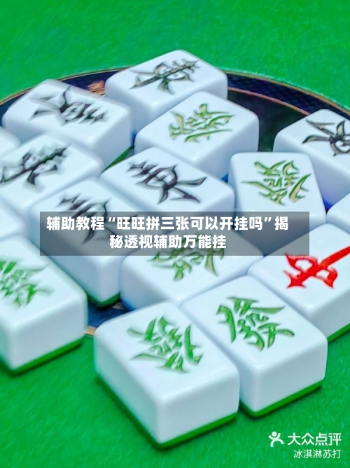 辅助教程“旺旺拼三张可以开挂吗”揭秘透视辅助万能挂-第3张图片