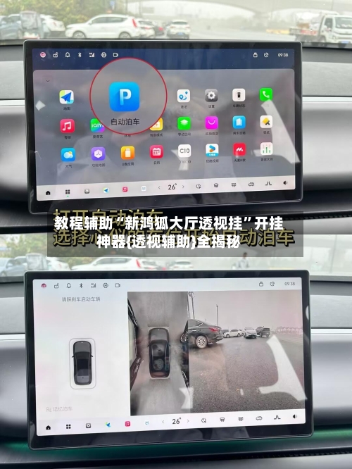 教程辅助“新鸿狐大厅透视挂	”开挂神器{透视辅助}全揭秘-第1张图片