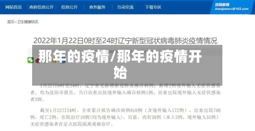 那年的疫情/那年的疫情开始-第1张图片