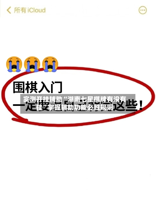 实测开挂辅助“湖南七星棋牌有没有挂”掌握辅助功能必胜规则-第1张图片