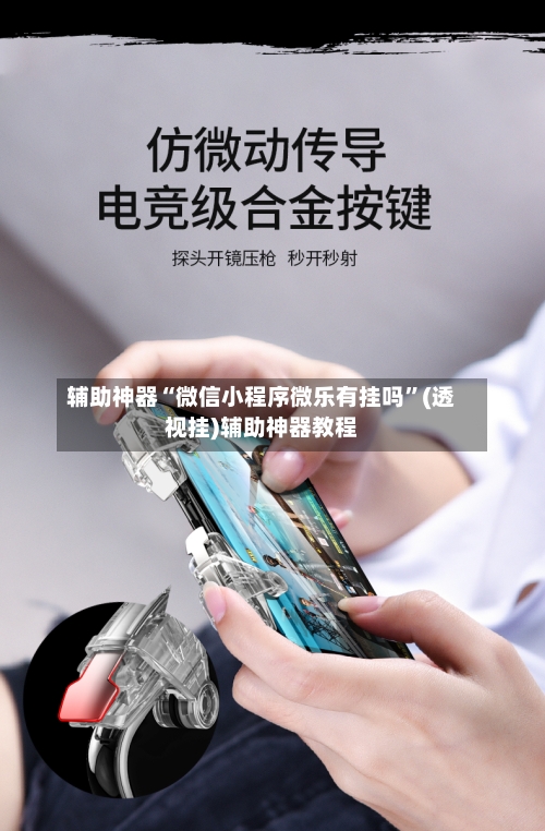辅助神器“微信小程序微乐有挂吗	”(透视挂)辅助神器教程-第1张图片
