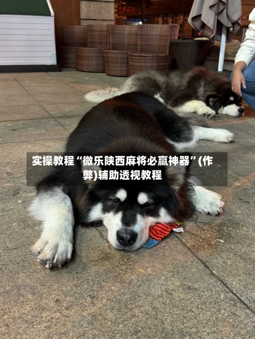 实操教程“微乐陕西麻将必赢神器”(作弊)辅助透视教程-第1张图片