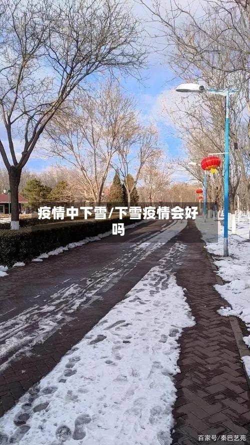 疫情中下雪/下雪疫情会好吗-第1张图片