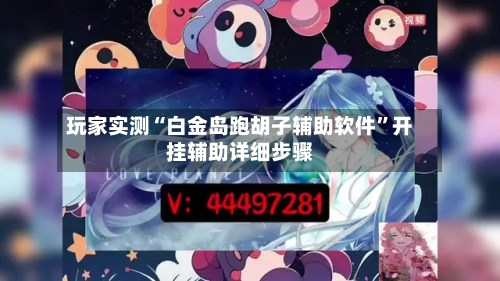 玩家实测“白金岛跑胡子辅助软件”开挂辅助详细步骤-第2张图片