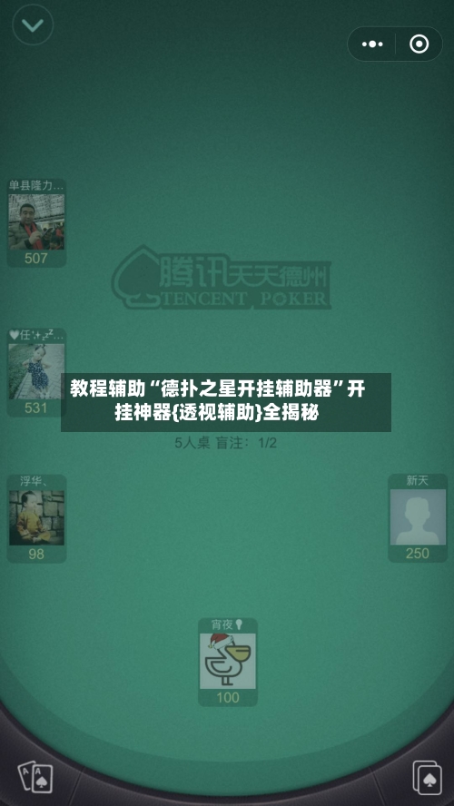 教程辅助“德扑之星开挂辅助器”开挂神器{透视辅助}全揭秘-第1张图片
