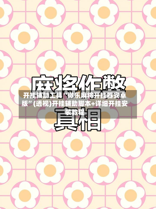 开挂辅助工具“微乐麻将开挂器安卓版”(透视)开挂辅助脚本+详细开挂安装教程-第2张图片