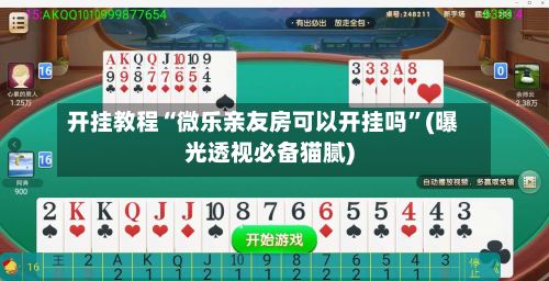 开挂教程“微乐亲友房可以开挂吗”(曝光透视必备猫腻)-第2张图片