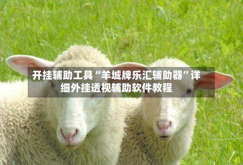 开挂辅助工具“羊城牌乐汇辅助器”详细外挂透视辅助软件教程-第1张图片
