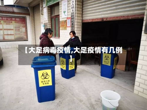 【大足病毒疫情,大足疫情有几例】