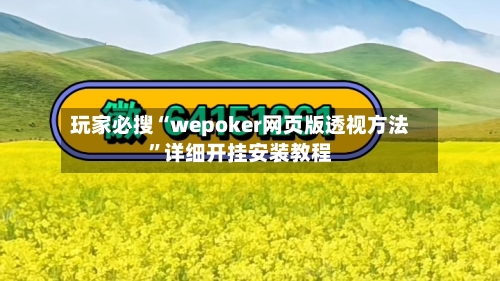 玩家必搜“wepoker网页版透视方法”详细开挂安装教程