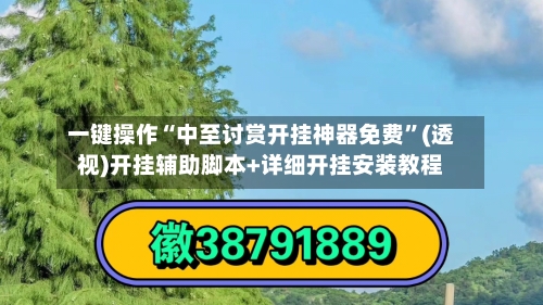 一键操作“中至讨赏开挂神器免费”(透视)开挂辅助脚本+详细开挂安装教程-第2张图片