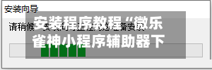 安装程序教程“微乐雀神小程序辅助器下载	”最新透视辅助软件详细教程官方版下载-第1张图片