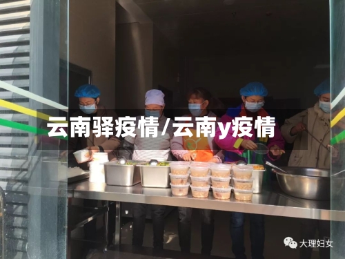 云南驿疫情/云南y疫情