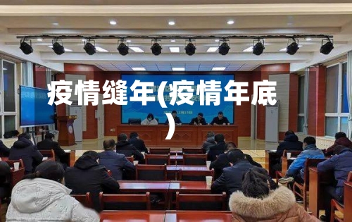 疫情缝年(疫情年底)-第1张图片