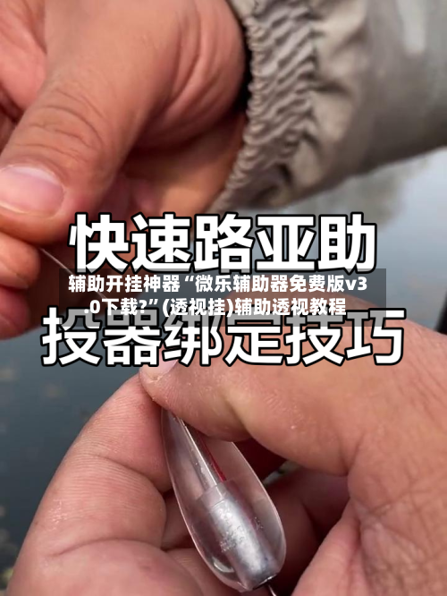 辅助开挂神器“微乐辅助器免费版v3.0下载?”(透视挂)辅助透视教程-第2张图片