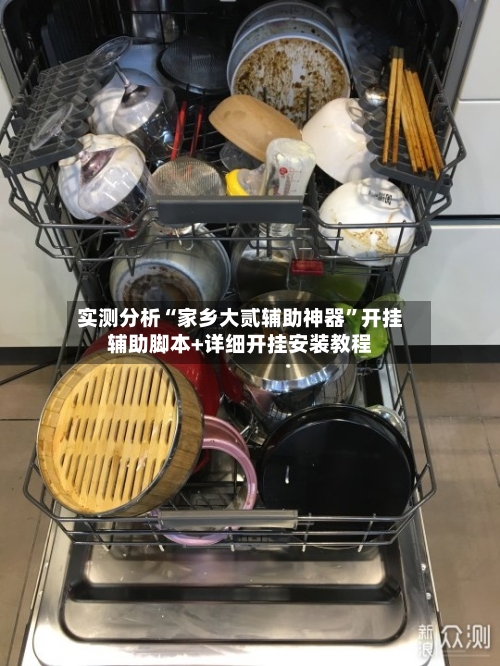 实测分析“家乡大贰辅助神器”开挂辅助脚本+详细开挂安装教程-第2张图片
