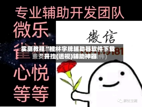 实测教程“桂林字牌辅助器软件下载”开挂(透视)辅助神器-第1张图片