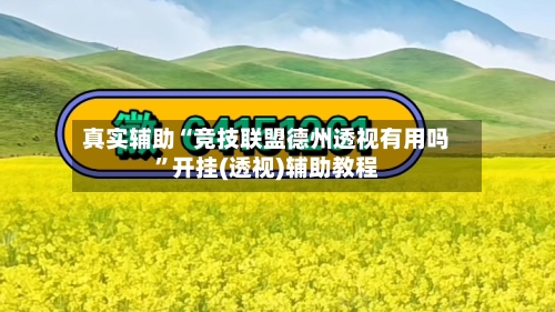 真实辅助“竞技联盟德州透视有用吗	”开挂(透视)辅助教程-第1张图片