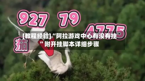 [教程经验]“阿拉游戏中心有没有挂”附开挂脚本详细步骤-第1张图片