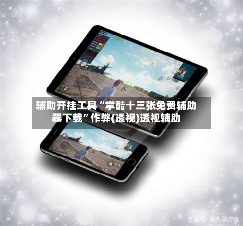 辅助开挂工具“掌酷十三张免费辅助器下载”作弊(透视)透视辅助-第1张图片