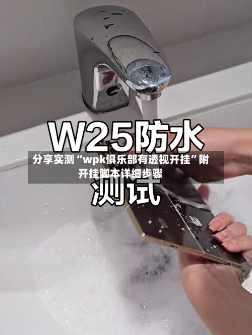 分享实测“wpk俱乐部有透视开挂”附开挂脚本详细步骤